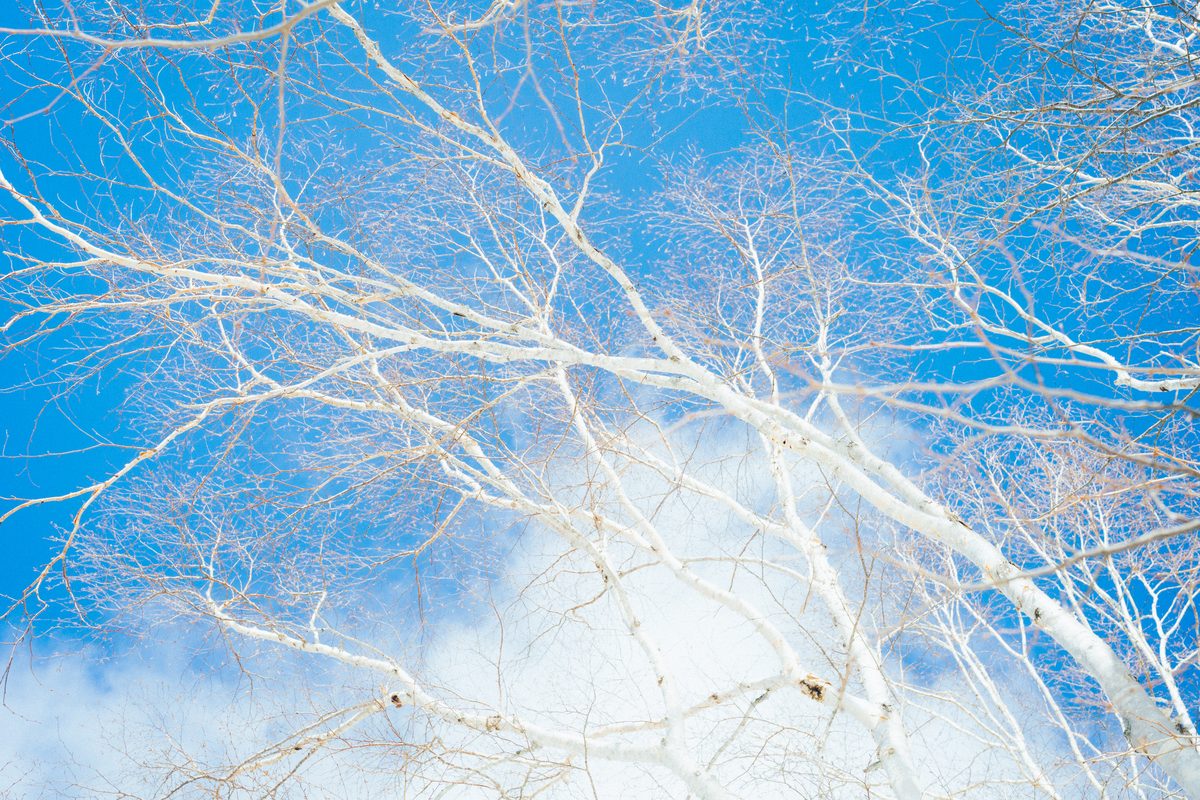 A frozen lake, and a promise kept — photo 35
