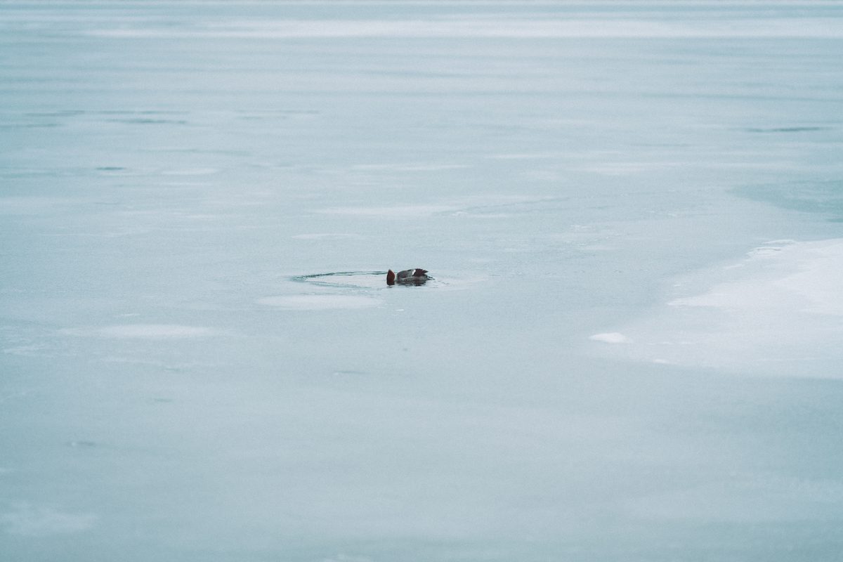 A frozen lake, and a promise kept — photo 46