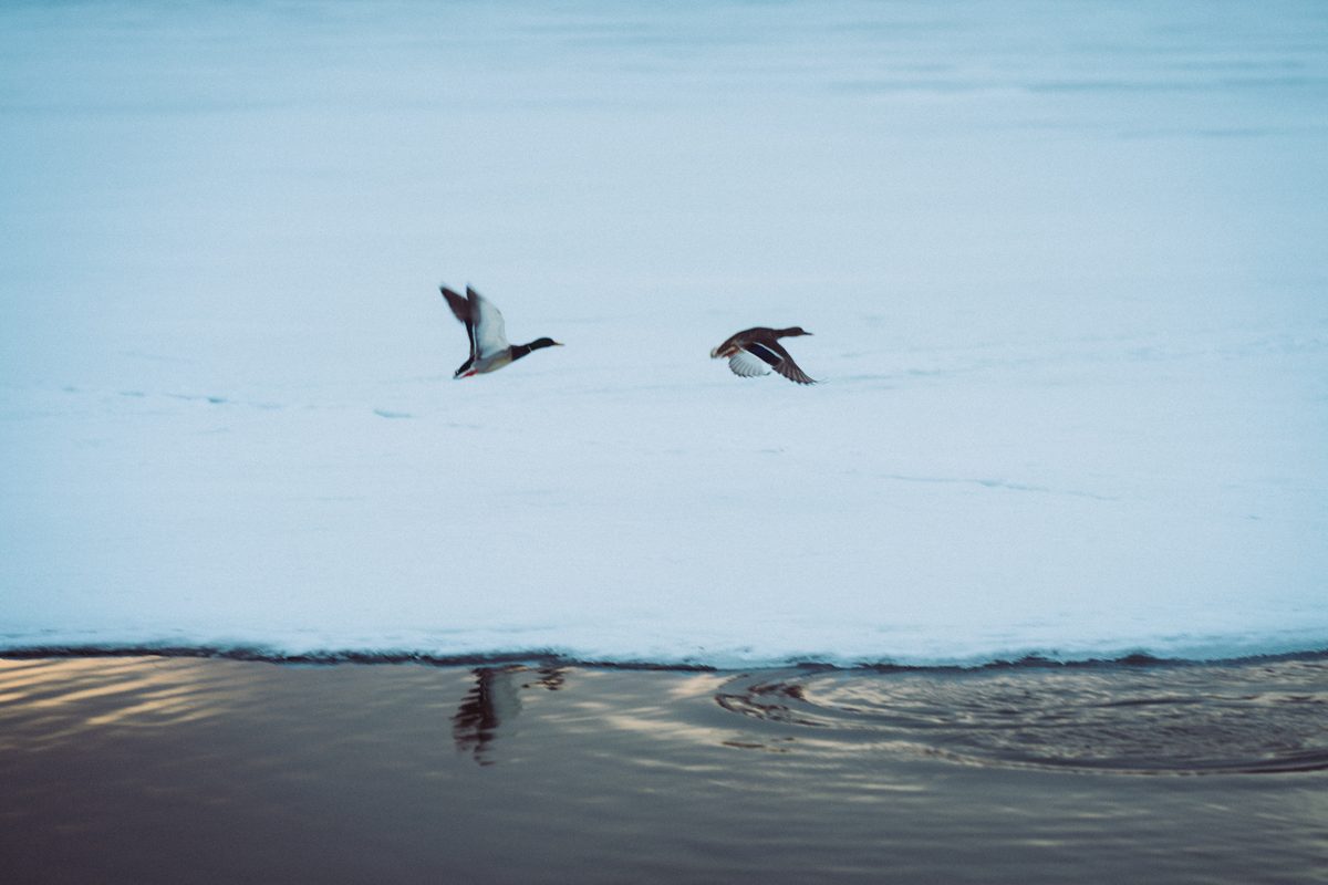 A frozen lake, and a promise kept — photo 58