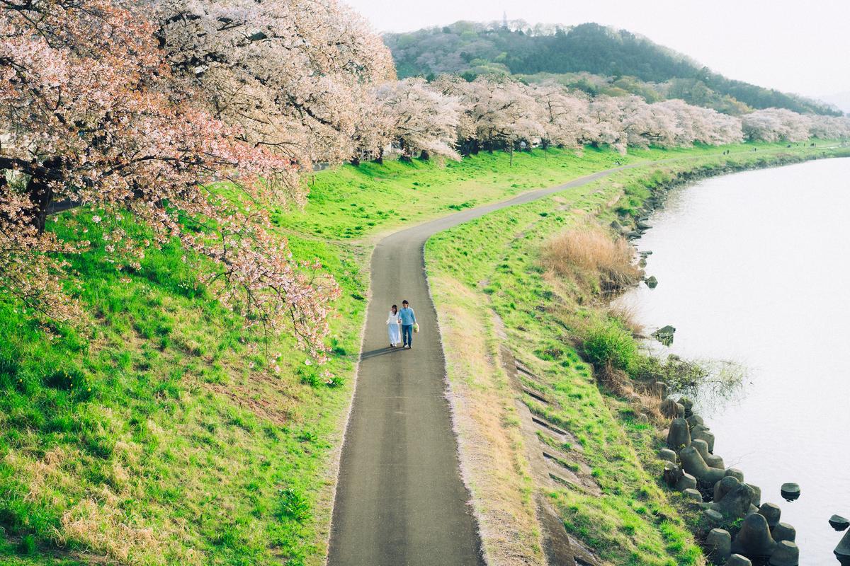 桜の下の、3人 — 31枚目