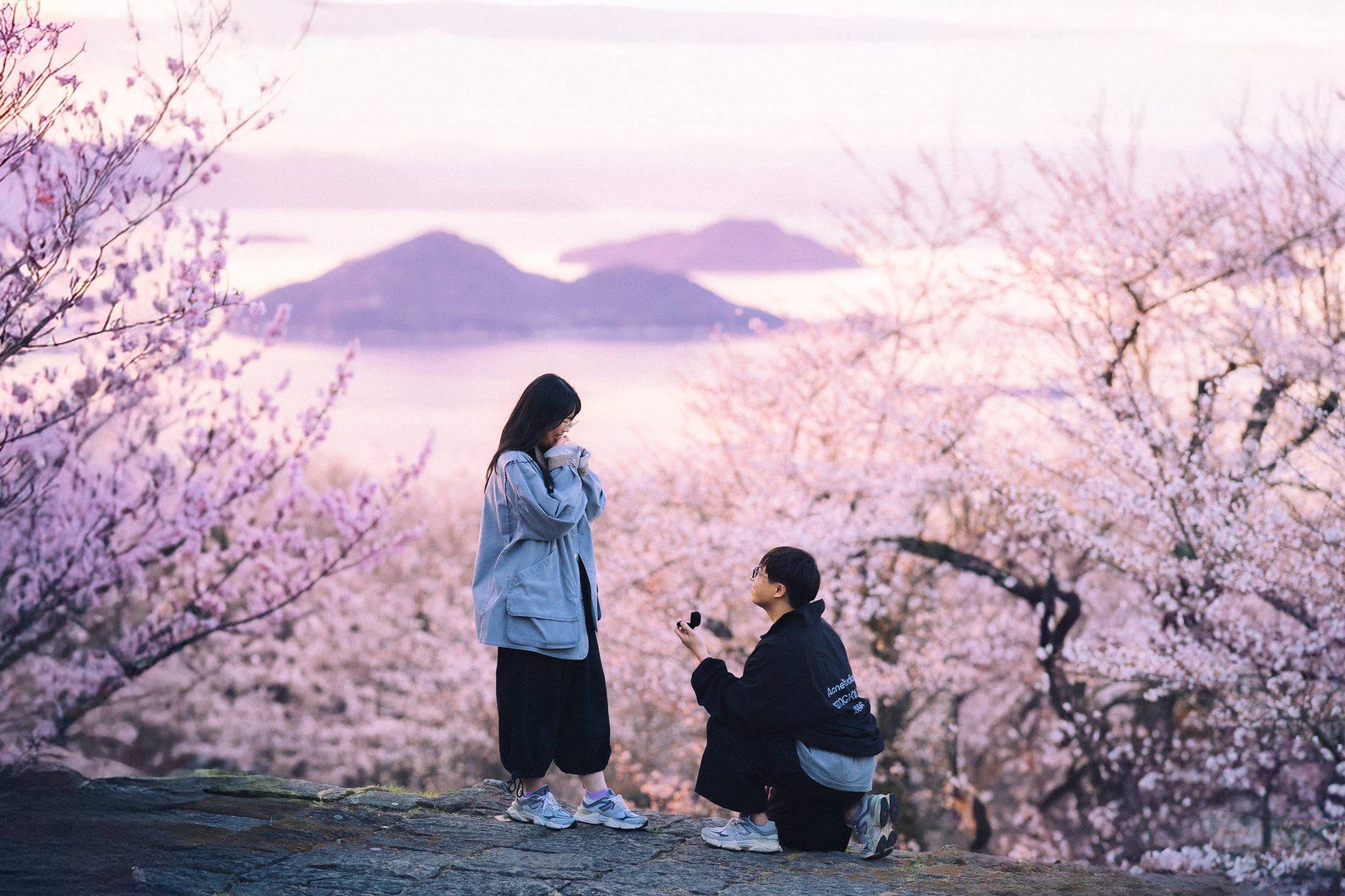 Blossoms, and a mountain behind them
